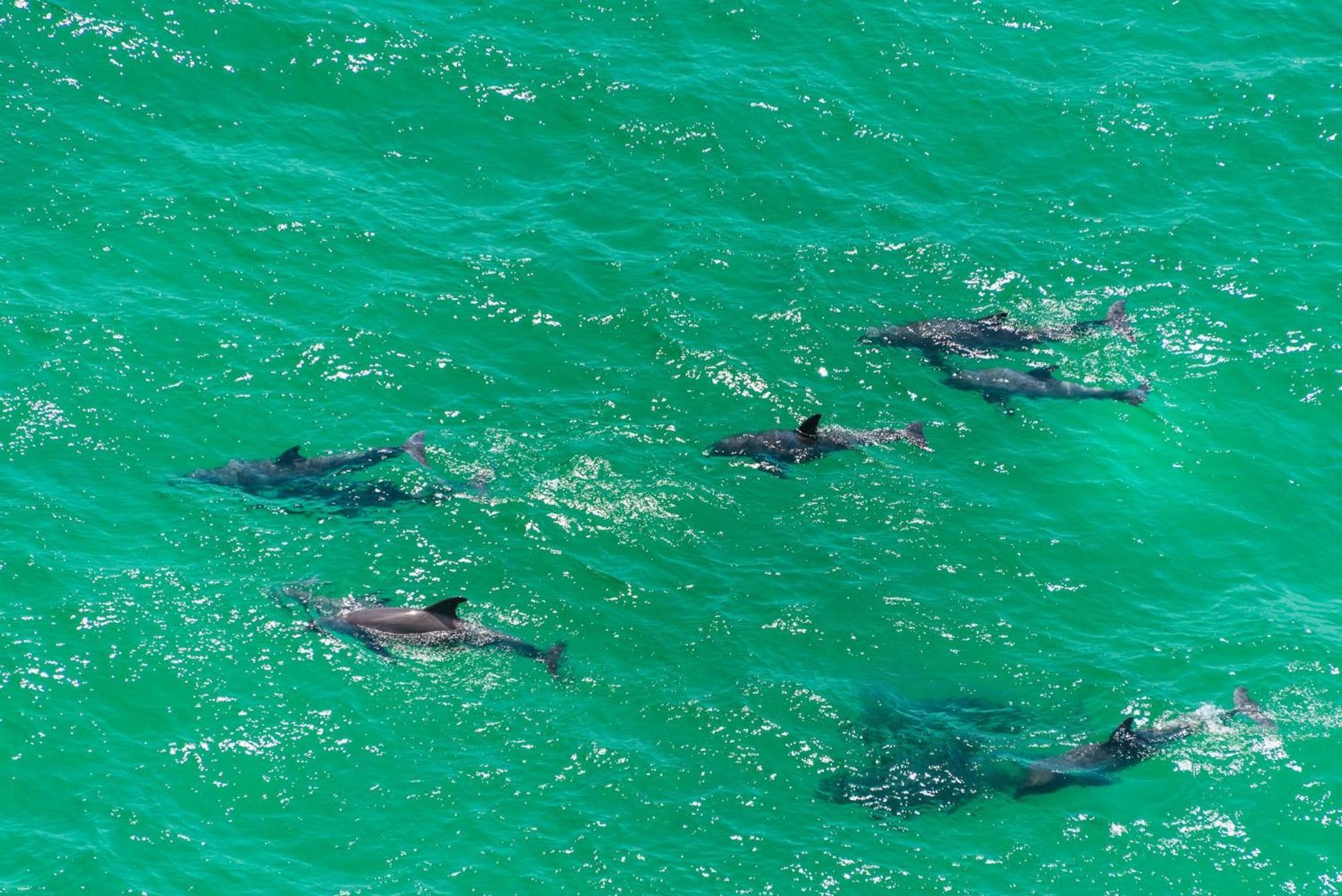 Calypso 1-608 East Aparthotel Panama City Beach Buitenkant foto